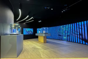  Ein moderner Innenraum einer Ausstellung mit Vitrinen, in denen fein gearbeitete Objekte – vermutlich Uhren oder Luxusartikel – unter gezielter Beleuchtung präsentiert werden. Digitale Bildschirme an den Wänden zeigen abstrakte Muster.