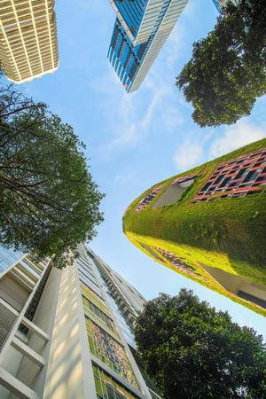 A view looking up from below at a line of high-rise buildings and trees towering into the sky.