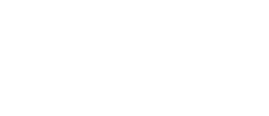 TDK Logo